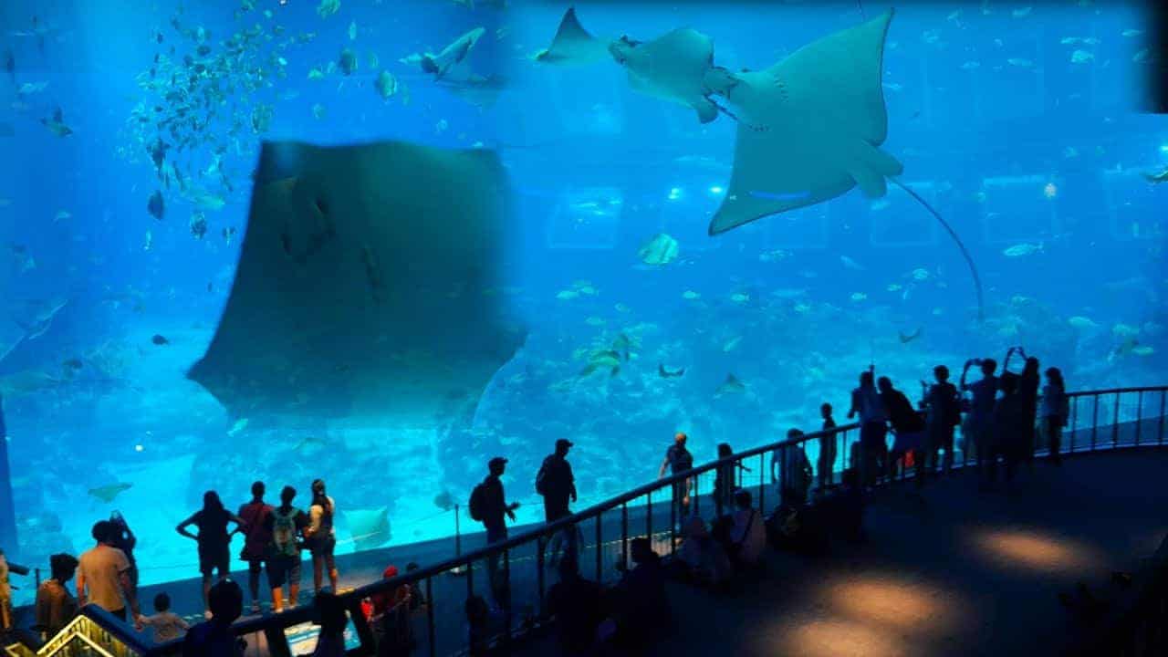 underwater park