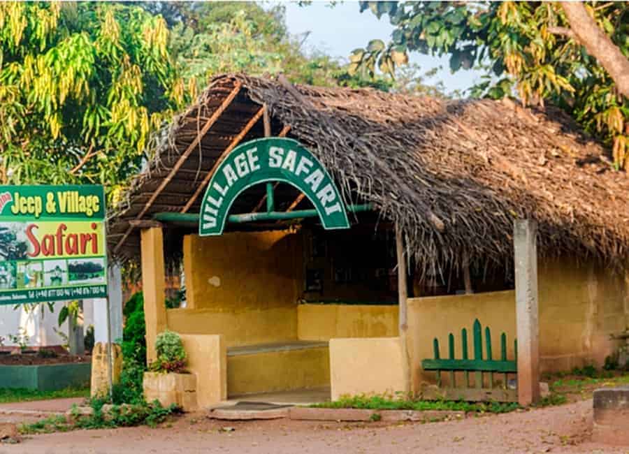 سفاري القرية village safari