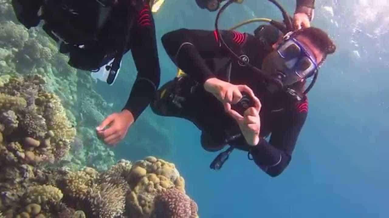 رحلتي إلى جزيرة جنا