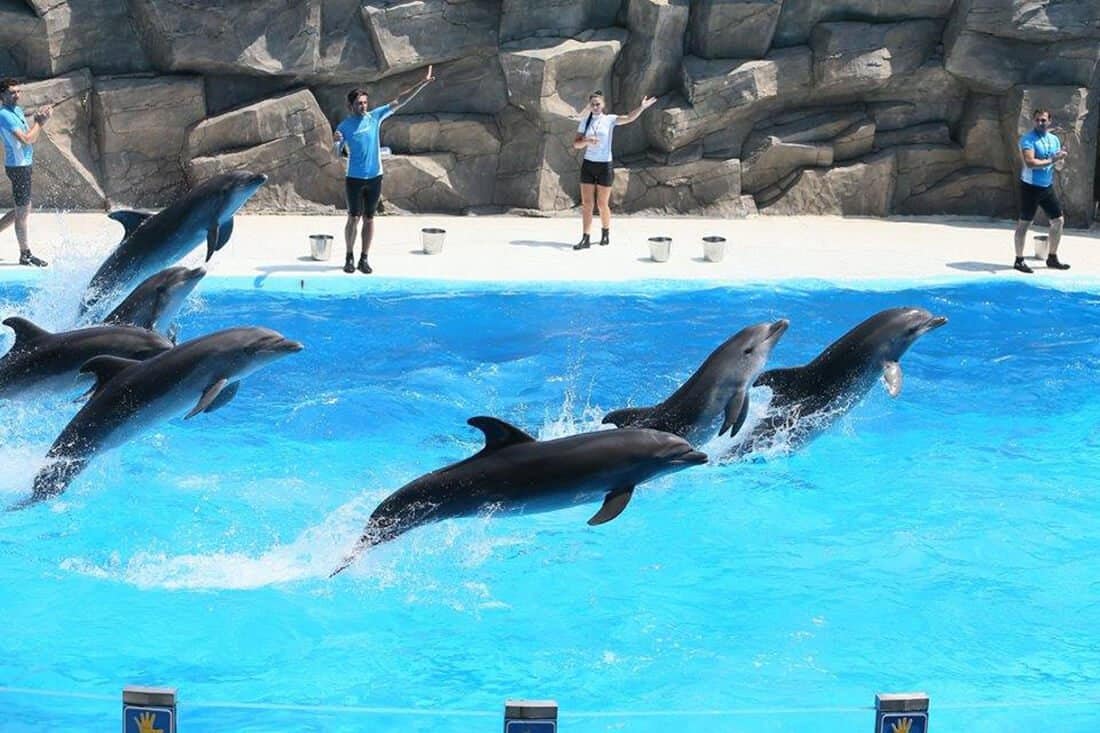 Dolphinarium Batumi