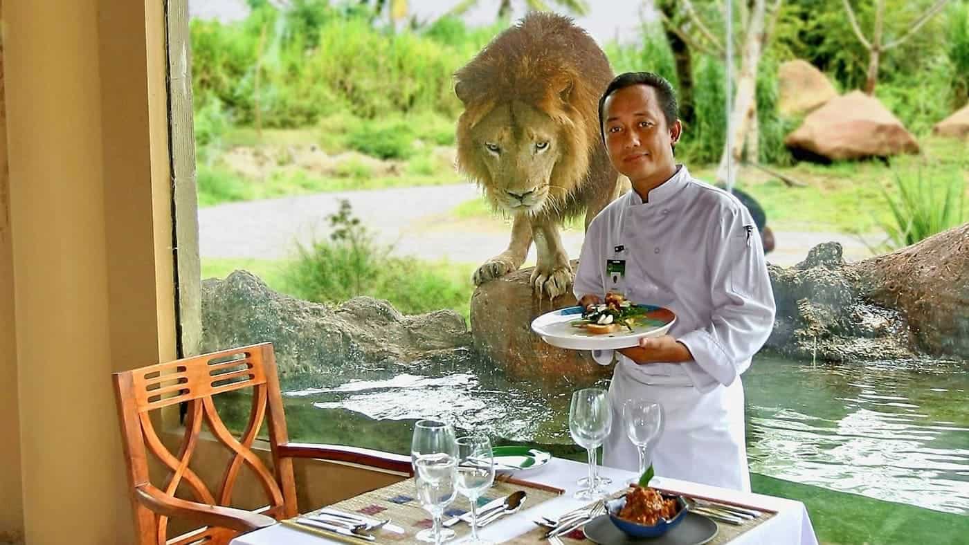 مطعم  Tsavo Lion Restaurant بالي