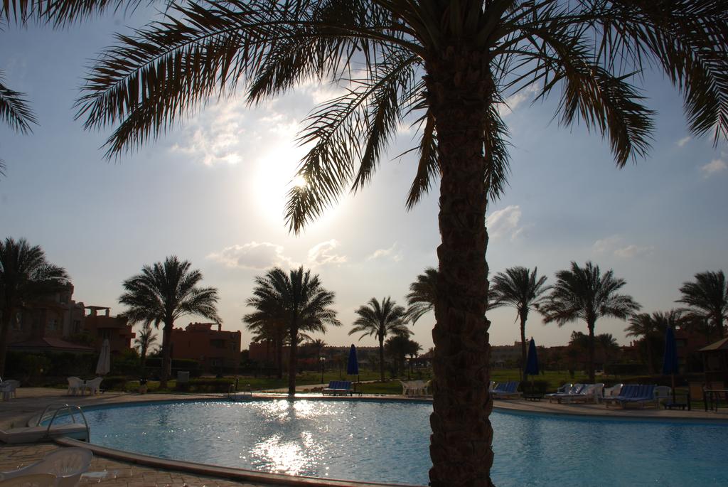 الخدمات