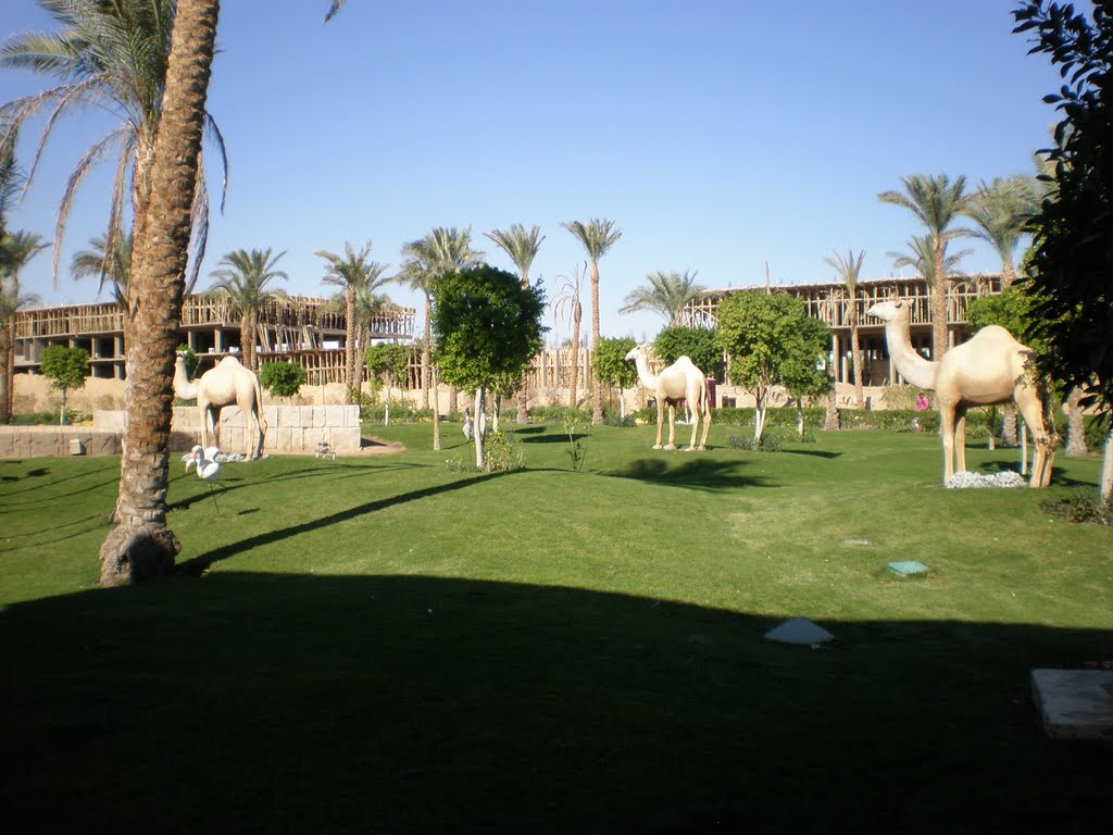 حديقة
