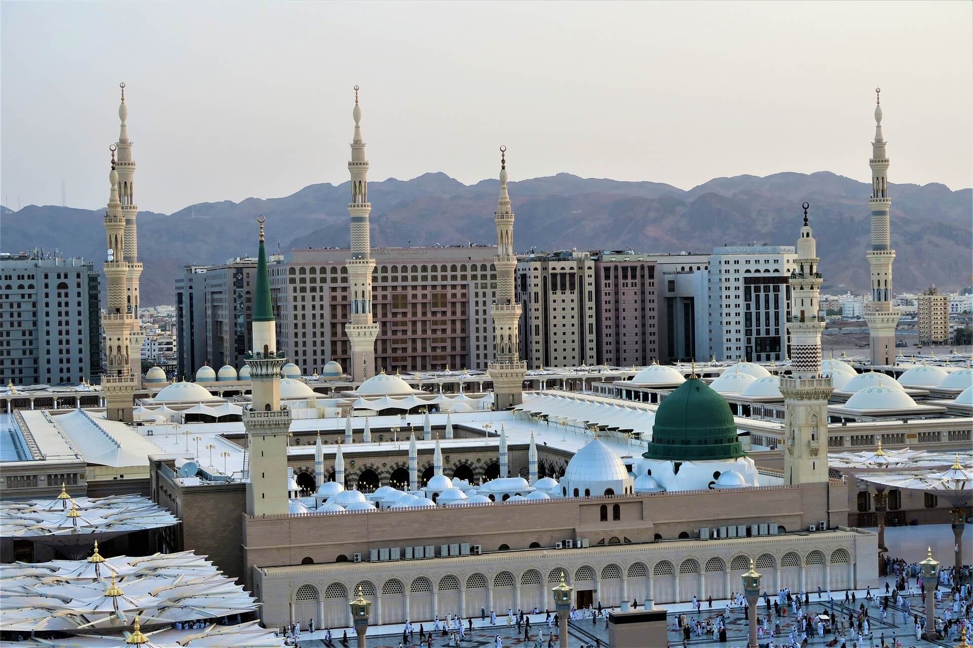 حجز فندق دلة طيبة المدينة المنورة