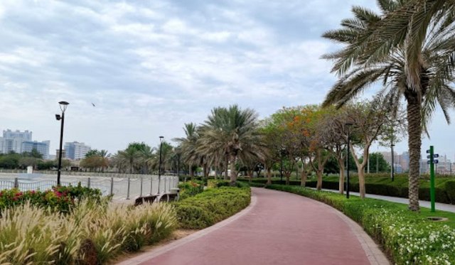حديقة البرشاء في دبي
