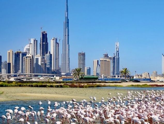 حدائق دبي المجانية
