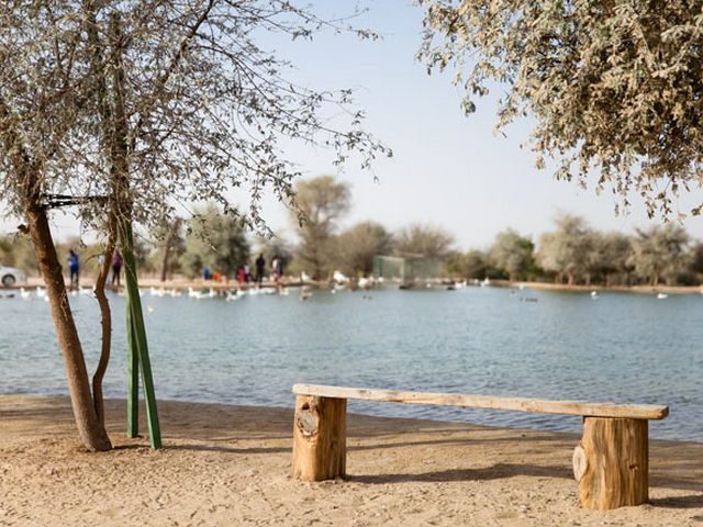 بحيرات القدرة دبي
