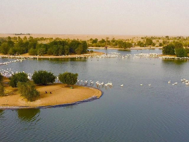 موقع بحيرات القدرة دبي