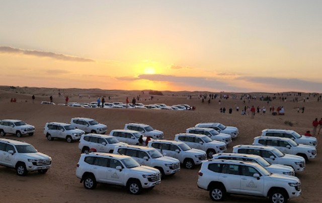 معلومات عن محمية دبي الصحراوية