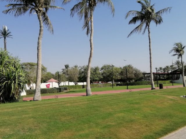 شارع جميرا دبي